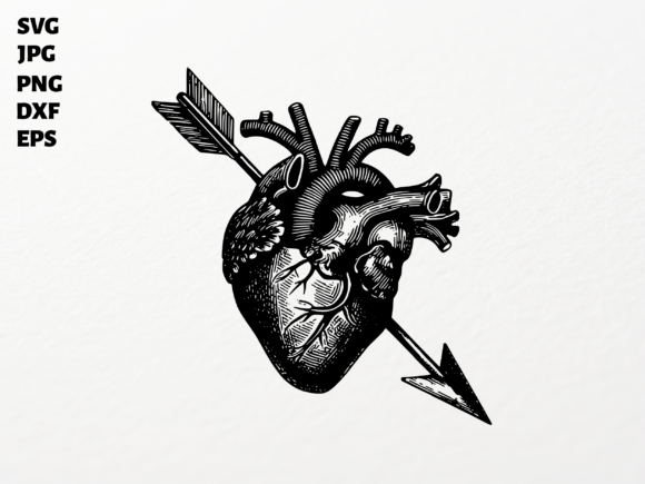 Download Anatomical Heart Arrow SVG for Cricut - Premium Resources